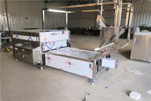 攜手增益食品機(jī)械廠，探索槽子糕生產(chǎn)機(jī)械的革新與搬運(yùn)解決方案