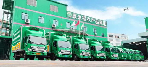 凌晨出發(fā)，康來(lái)福將新鮮的云南韭菜送上廣州食堂餐桌